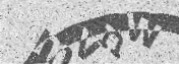 Text CAPTCHA sample 2